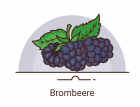 Brombeere